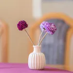 Appartmenthaus Felicitas Lägenhet