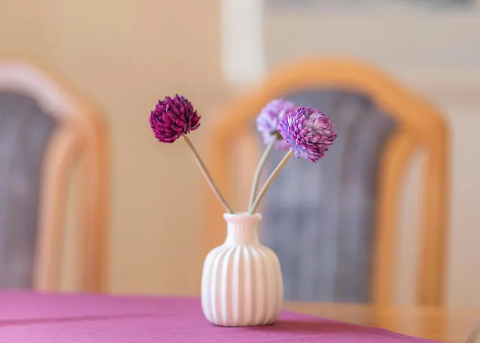 Appartmenthaus Felicitas